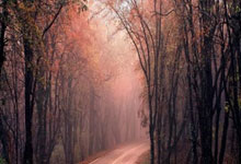 开云体育在线-拜仁封神夜！数据铁幕锁死姆巴佩，欧冠登顶的终极密码