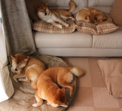 两种防守，一种胜利哲学，热火锁死山西队与霍勒迪接管NBA季后赛