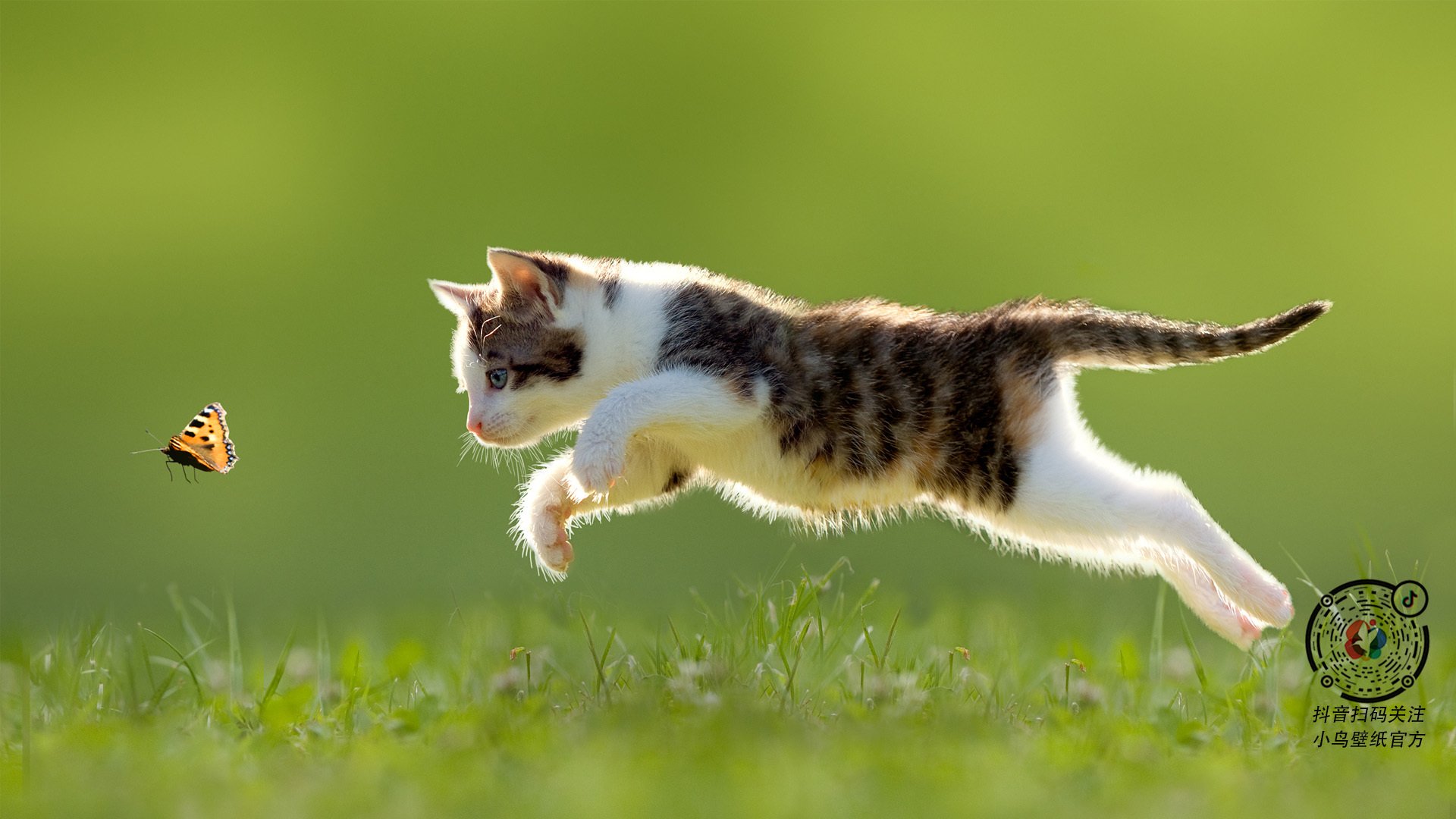 双加时鏖战，詹姆斯关键球定乾坤！全球直播的篮球盛宴，胜负之外的致敬