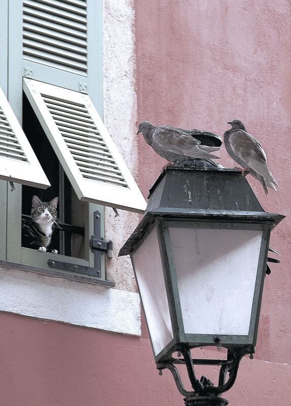 开云体育官网-格纳布里评分拉满之夜，贝蒂斯翻盘映照足球的另一种胜利