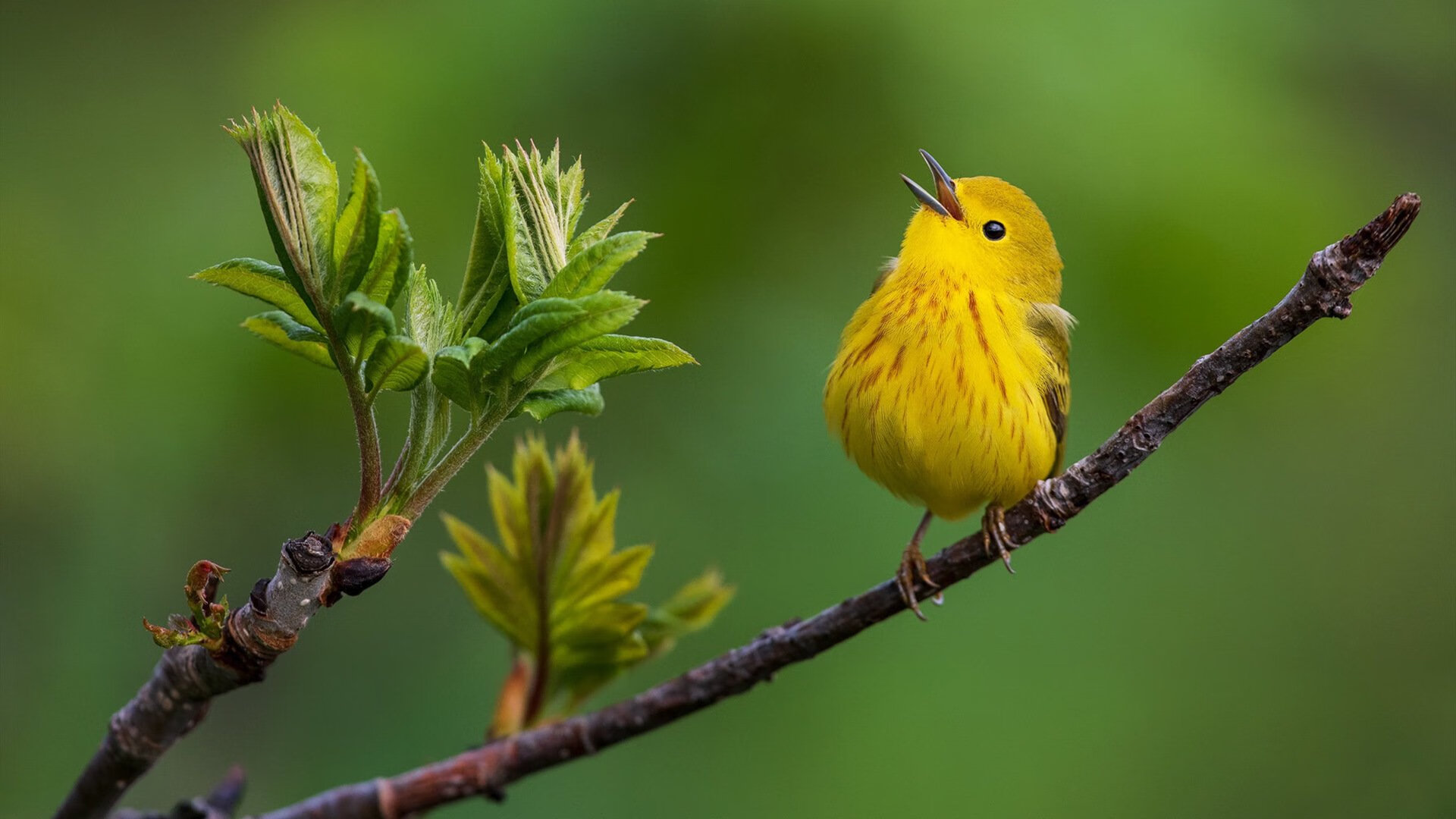 开云sport-如何让詹姆斯和巴特勒同时成为背景板？太阳给出残忍答案
