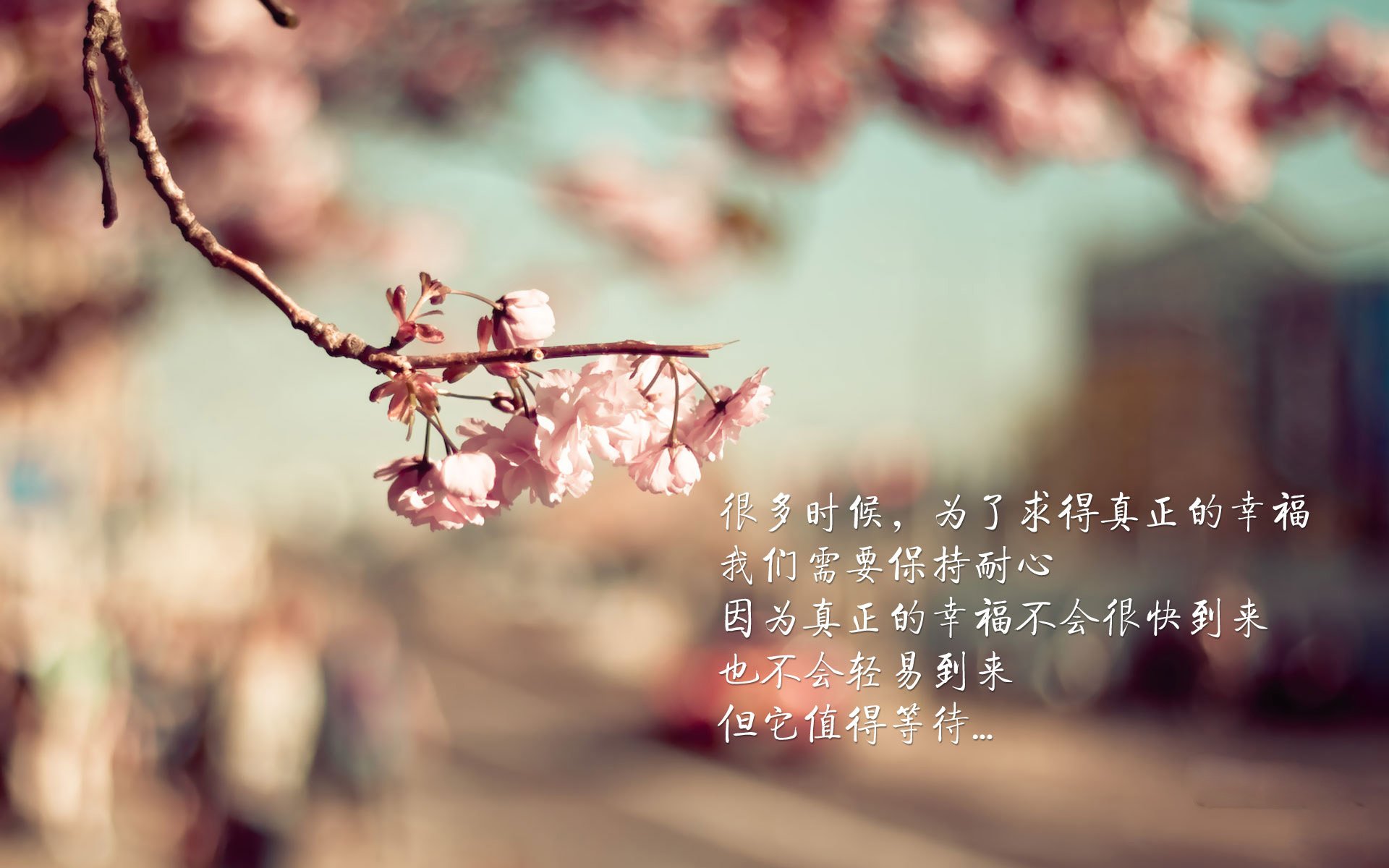 开云体育-西亚卡姆赛季最佳夜轰41+9！魔术式生存法则击溃爵士防守铁壁