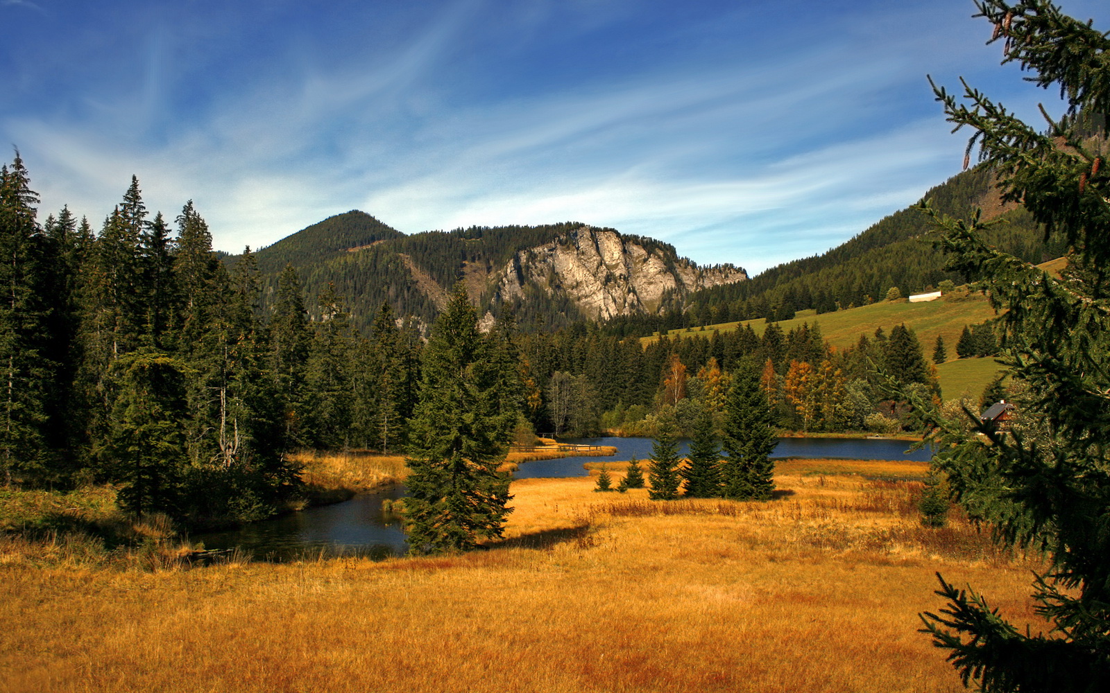 微光化境，当个人神话遇上集体意志