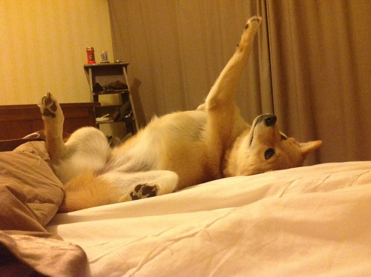 开云体育入口-双城记，曼彻斯特的孤勇者与米兰城的钢铁洪流