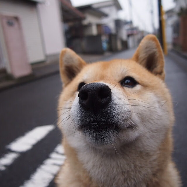 格纳布里独造三球，利物浦3-1力克哥本哈根晋级