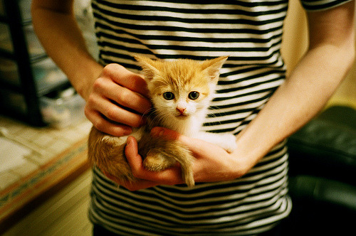 烧胎的叹息与进球的咆哮,当两个战场同时抵达命运十字