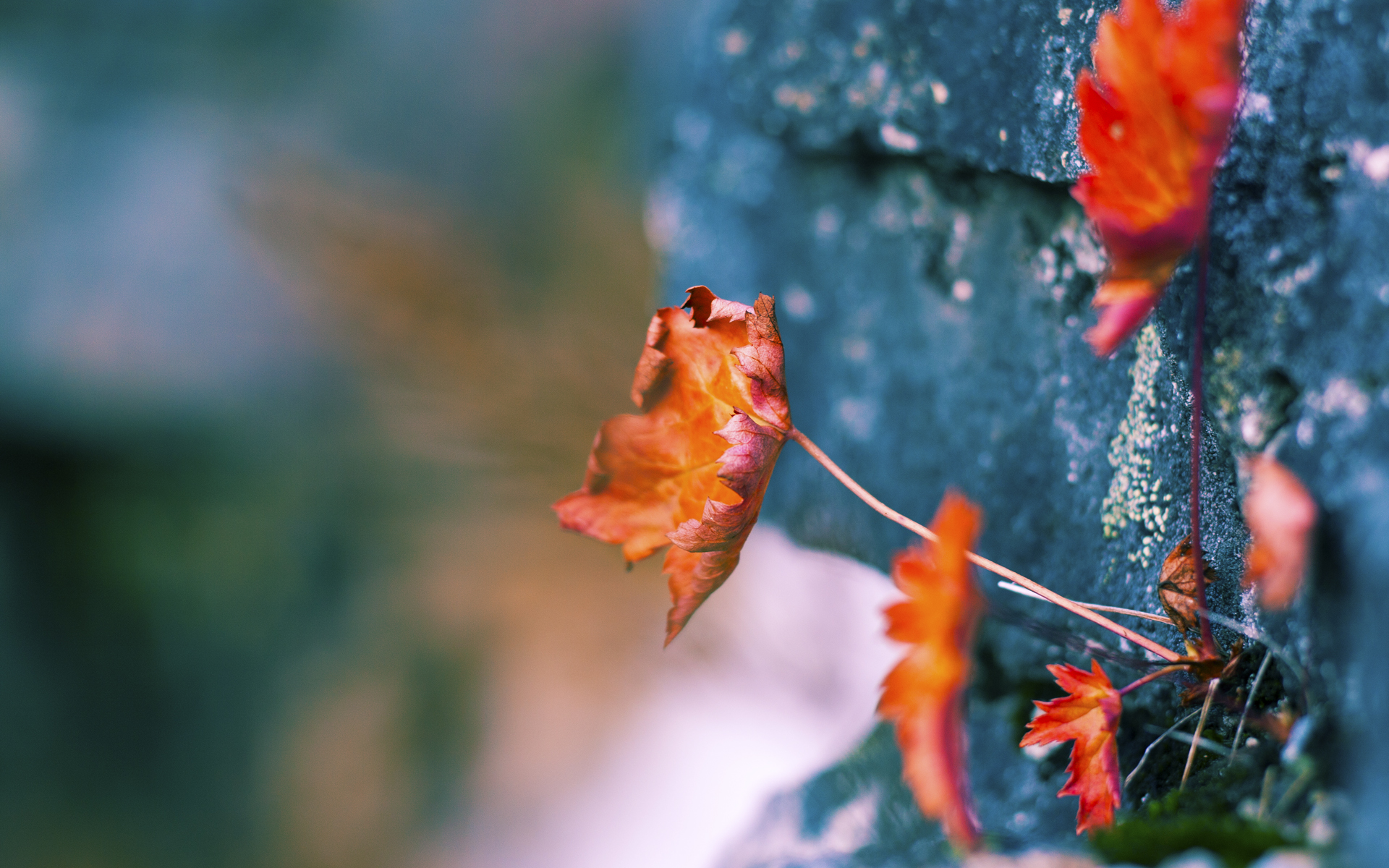 开云体育登录-奥纳纳，当节奏大师遇见压哨绝杀