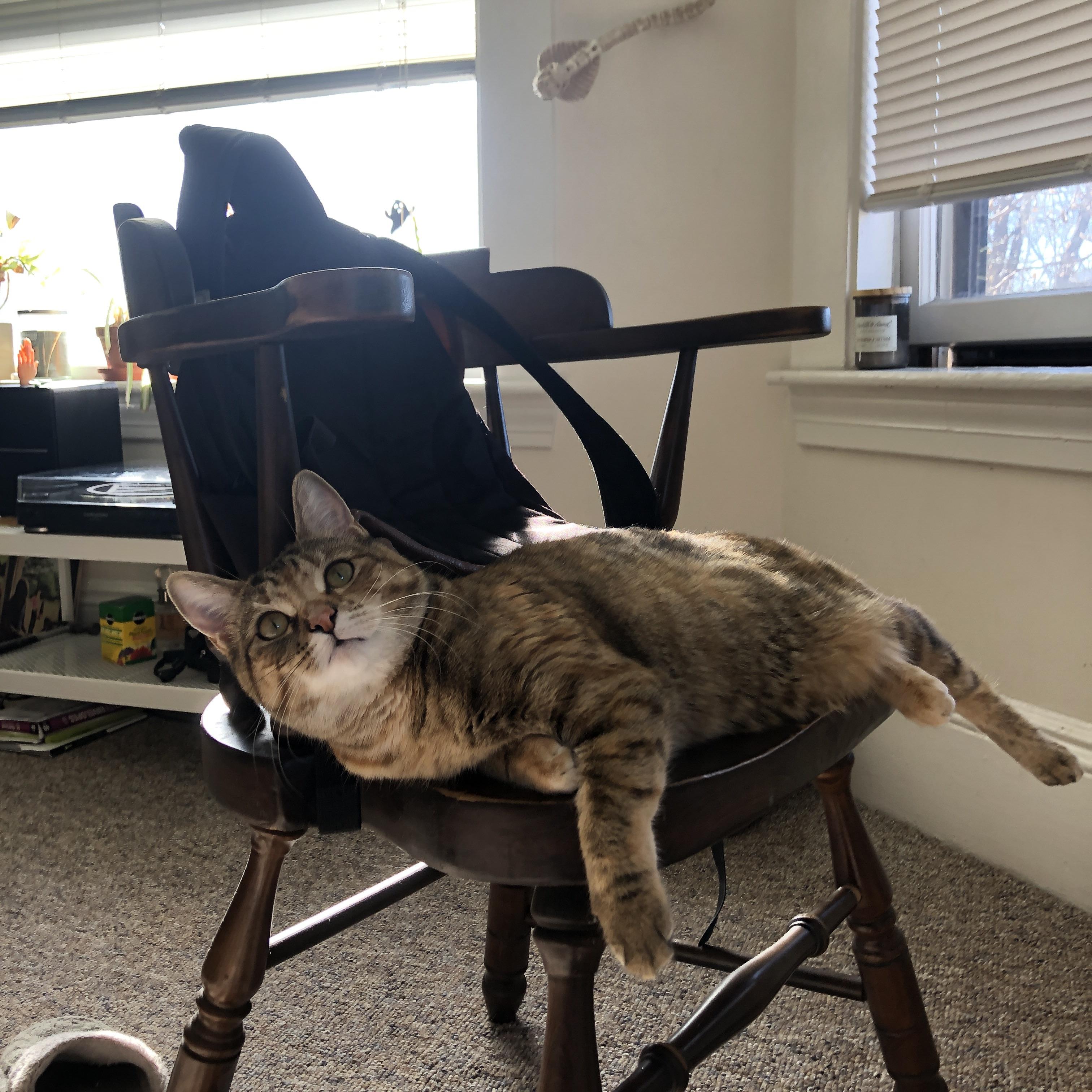 单骑救主与团队风暴，马克西奥运闪耀与新疆团队狂胜