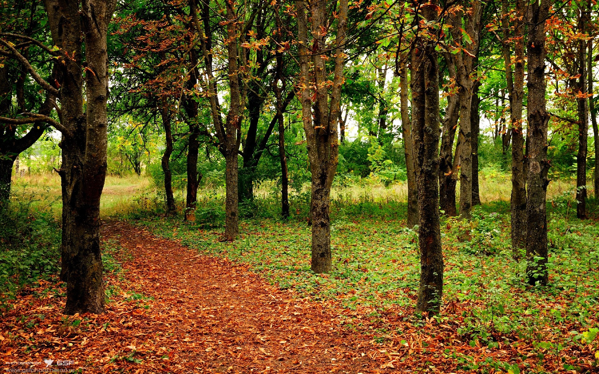 新大陆的崛起与旧秩序的黄昏，从秘鲁高原风暴到福登的2026救赎之路