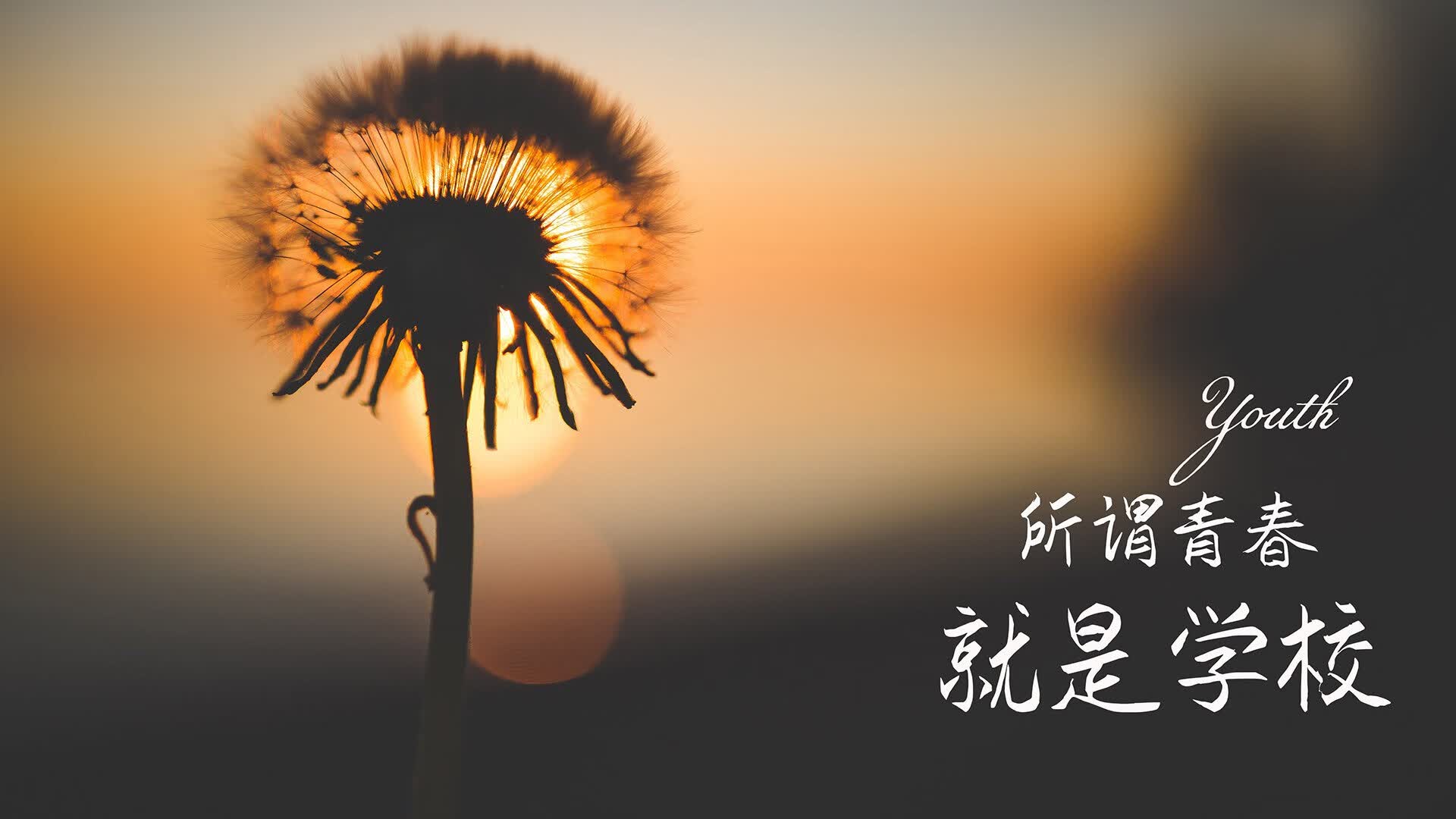 黑马狂想曲，2026，当匈牙利在慕尼黑书写不屈的史诗